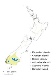 Veronica poppelwellii distribution map based on databased records at AK, CHR & WELT.
 Image: K.Boardman © Landcare Research 2022 CC-BY 4.0
